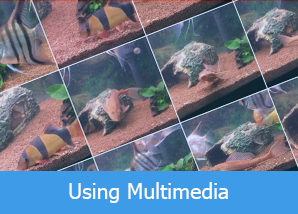 Using multimedia